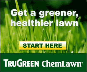 Yard Lawn TruGreen Image