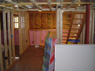 Basement Remodeling and Finishing Basement