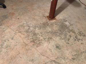 Basement floor with crack and moisture.