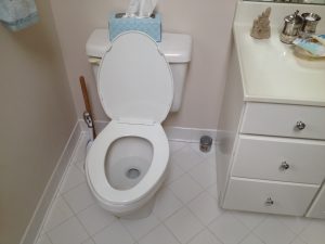 Low flow toilet technology.