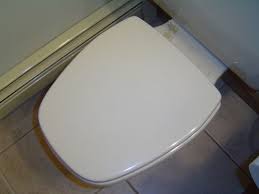 How to replace a toilet seat.