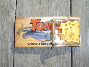 Spring mouse trap